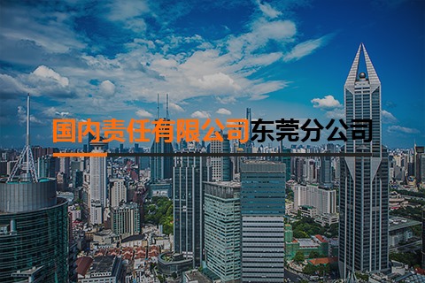 國內(nèi)有限責任公司東莞分公司